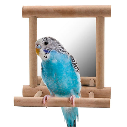 Bird Stand with Mirror – Natural Wood Perch for Parrots | PetPexi