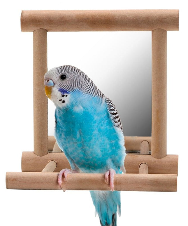Bird Stand with Mirror – Natural Wood Perch for Parrots | PetPexi