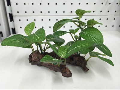 Grass and Wood Decoration Simulation Plant for Fish Tank – Shamrock, Sunken Wood & Aquatic Plants