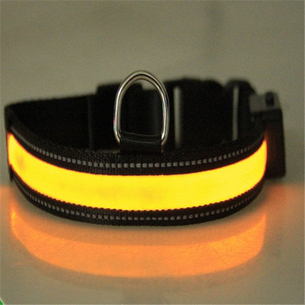 Solar Charging Fluorescent Dog Collar – Durable Nylon LED Pet Chain with Dual Charging | Petpexi