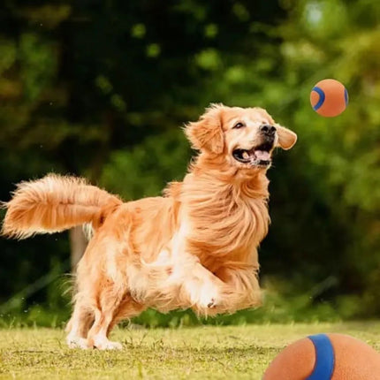 Dog Toy Ball – Tough Rubber Fetch Ball for Dogs | www.petpexi.com