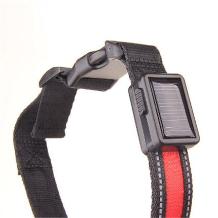 Solar Charging Fluorescent Dog Collar – Durable Nylon LED Pet Chain with Dual Charging | Petpexi
