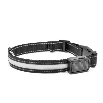 Solar Charging Fluorescent Dog Collar – Durable Nylon LED Pet Chain with Dual Charging | Petpexi