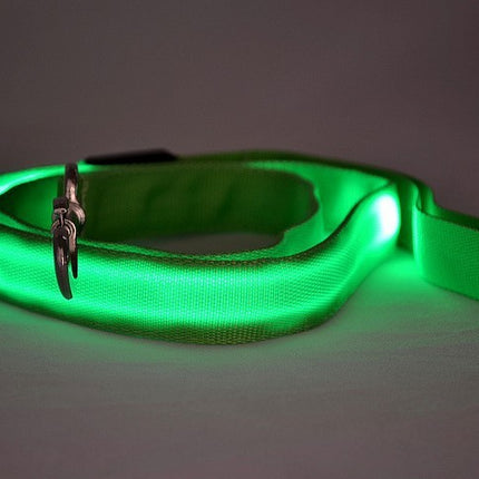 LED Luminous Traction Belt Dog Leash – Durable Nylon, Bright Colors, Perfect for Safe Night Walks – Fast & Free Shipping at www.petpexi.com