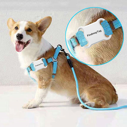 Smart Pet Cat Dog GPS Locator – Lightweight Accurate Tracker | www.petpexi.com