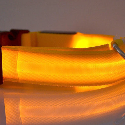 Nylon LED Luminous Dog Collar – Night Safety Flashing Glow Adjustable Pet Collar | Petpexi