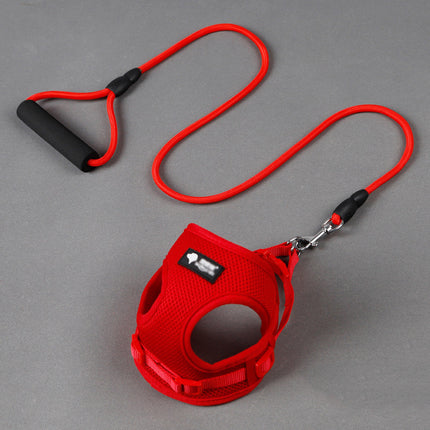 Premium Dog Leash and Collar Set with Foam Handle – Strong Nylon Rope Harness | petpexi.com