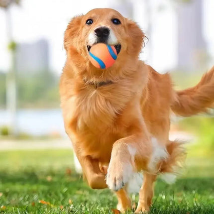 Dog Toy Ball – Tough Rubber Fetch Ball for Dogs | www.petpexi.com