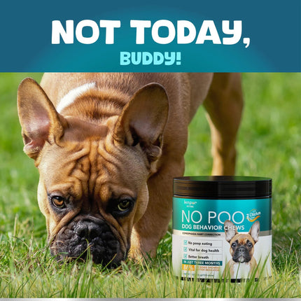 No Poo Chews for Dogs – Stop Poop Eating Behavior with Probiotics & Digestive Enzymes – 180 Soft Chews | www.petpexi.com