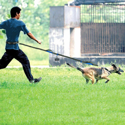 Multi-Function Reflective Elastic Dog Leash with Waist Belt – Hands-Free Control | Petpexi