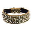 PU Golden Brown / L