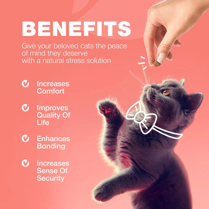 Flea Treatment for Cats – Daily Oral Flea & Tick Prevention Chews – Natural Chicken Flavor – Soft Chews for All Breeds & Ages – Free U.S. Shipping