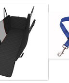 Black with blue leash