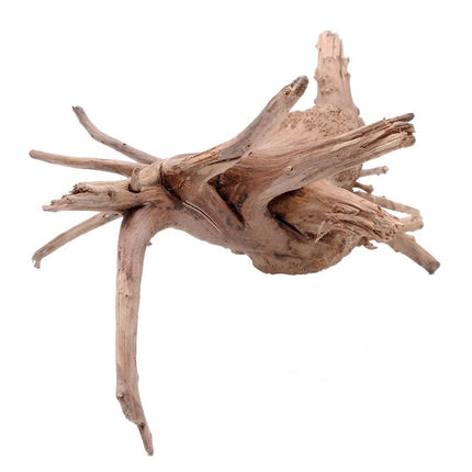 Natural Sunken Tree Root Aquarium Decoration – Premium Landscaping Wood | Fast & Free USA Shipping
