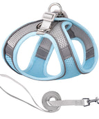 Blue And Gray