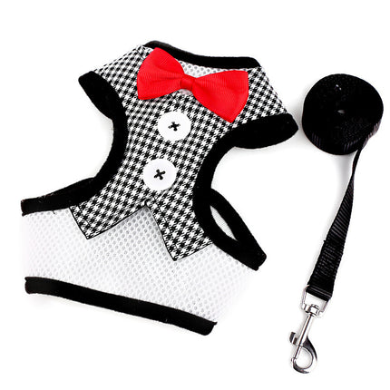 Teddy Vest-Style Dog Harness & Leash – Bow Chest Straps | Petpexi