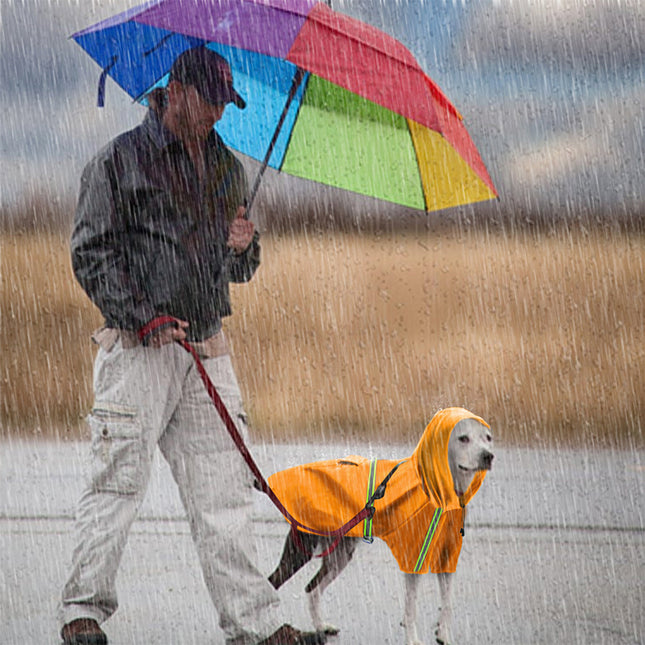Spring & Summer Waterproof Reflective Dog Raincoat – Lightweight Cape for All Breeds | Petpexi