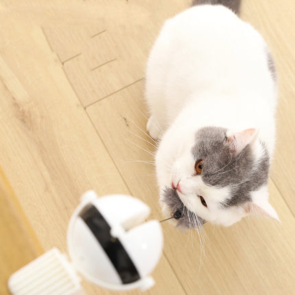Electric Automatic Lifting Motion Cat Toy – Interactive Smart Puzzle Ball | Petpexi