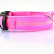pink / L / chargable