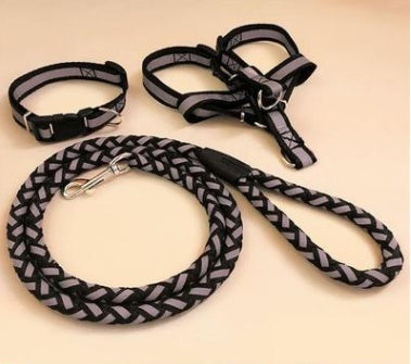 Pet Dog Leash with Collar - Adjustable, Heavy-Duty for All Sizes - petpexi.com