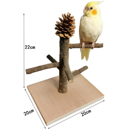 Solid Wood Parrot Station Frame Training Bird Shelf