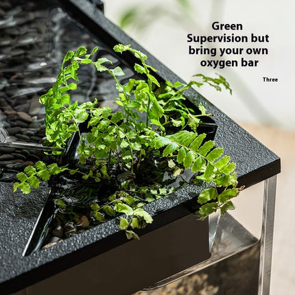 Premium Acrylic Lazy Aquarium with Built-In Filter, Heater & LED Lighting – Small | www.petpexi.com