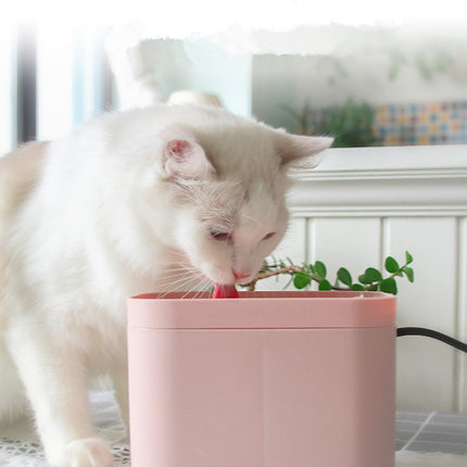 Pet Cat Smart Drinking Water Fountain – 1.5L Automatic Dispenser | www.petpexi.com