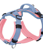 Pink Blue