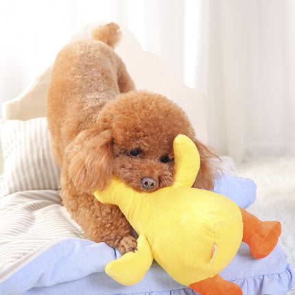 Dog Plush Toy Pet Vocal Toy – Durable Interactive Squeaky Dog Toy | www.petpexi.com