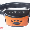 Orange / 2PC