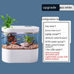 White Upgrade / 1to11 PCs