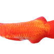 8 / 20cm