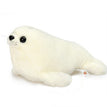 Sea lion fifty centimeters
