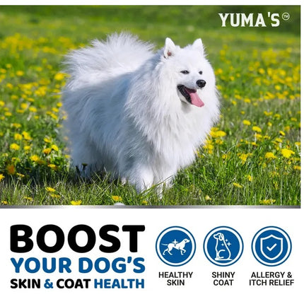 Omega 3 Fish Oil for Dogs 170 Chews – Skin & Coat Supplement – Salmon Oil – Healthy Skin, Shiny Coat – Free Shipping to U.S.