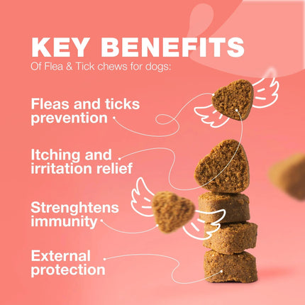 High-Quality Dog Flea and Tick Treatment Chews – Natural Prevention & Immune Support – PetPexi