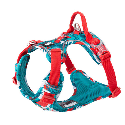 Dog Leashes & Chain Vest Straps – Durable Nylon Harness for All Dog Breeds | Petpexi
