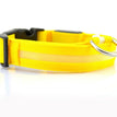 yellow / L / chargable