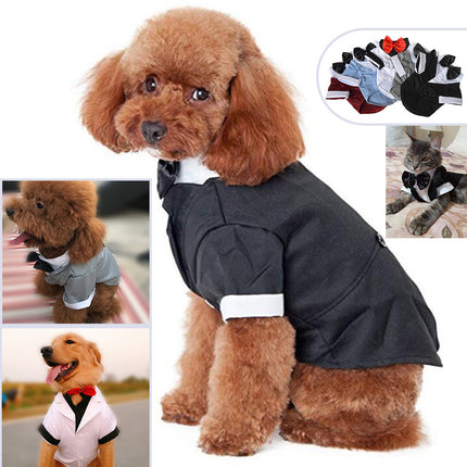 British Style Dog Suit with Bow Tie – Formal Cotton Outfit for Big Dogs | Petpexi