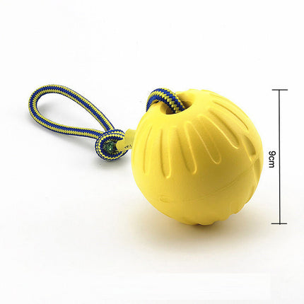 EVA Pet Ball Dog Toy - Interactive Rubber Frisbee & Pull Ring | Petpexi