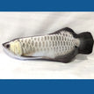 Electric Silver Arowana