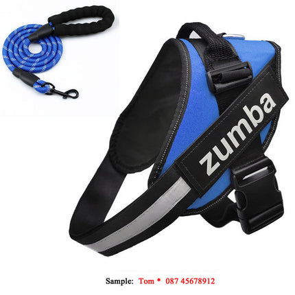 Personalized Reflective Breathable Adjustable Dog Harness and Leash Set | petpexi.com