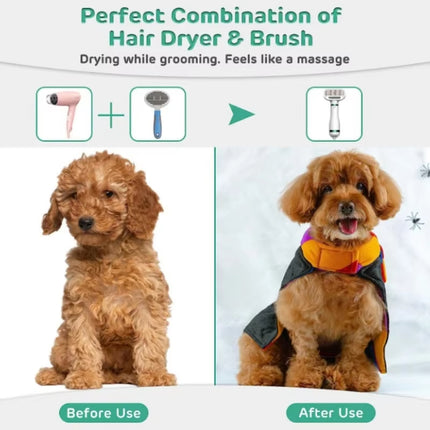 2-in-1 Pet Hair Dryer and Grooming Brush – Slicker & Hair Removal Comb for Dogs & Cats | Petpexi