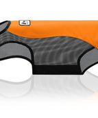 Sweet orange,
