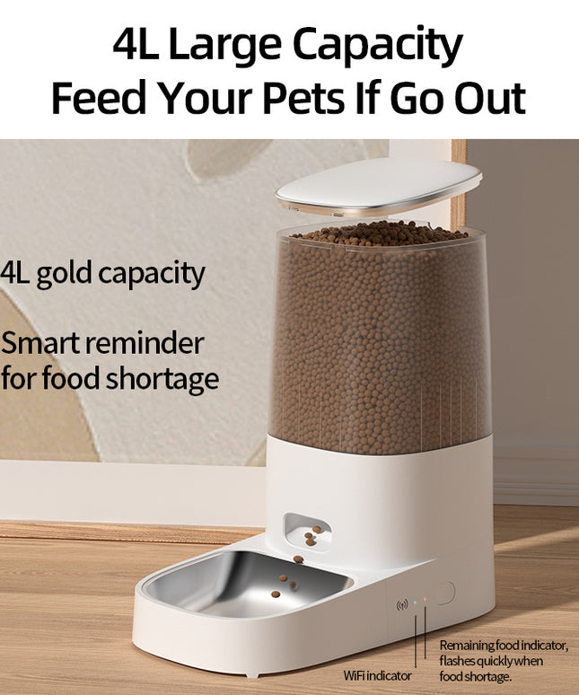 ROJECO 4L Automatic Pet Feeder – Cat & Small Dog Food Dispenser with WiFi/App Control | Fresh, Easy Cleaning | Fast Free Shipping USA – petpexi.com