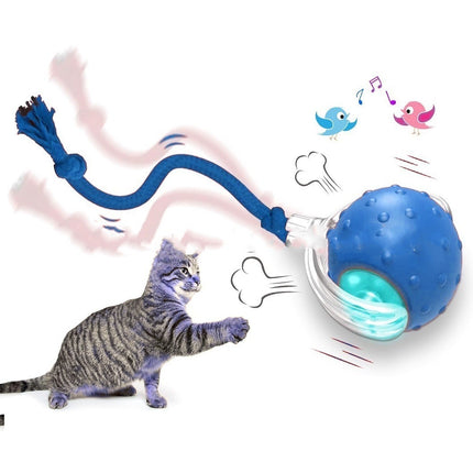 Interactive Cat Toy Ball – Super Drive Rolling Ball with Chirping & 3 Modes | Petpexi