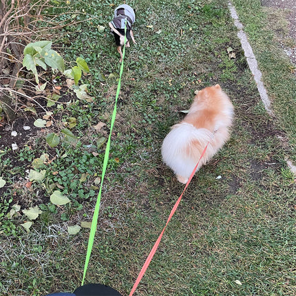 Retractable Dual Dog Leash with Lights – 360° Swivel No-Tangle Reflective Leash for Small Dogs | Petpexi