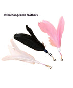 Feather Random Color