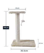 Apricot jumping section