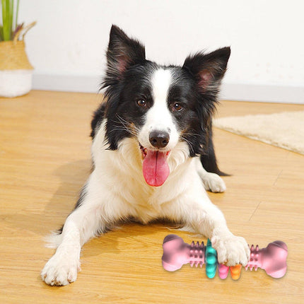 Indestructible TPR Bone Chew Toy for Dogs - Teeth Cleaning & Anxiety Relief - Petpexi.com