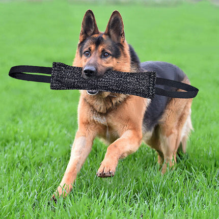 Durable Dog Bite Stick – Creative Tug Chew Stick for Teeth Cleaning | www.petpexi.com